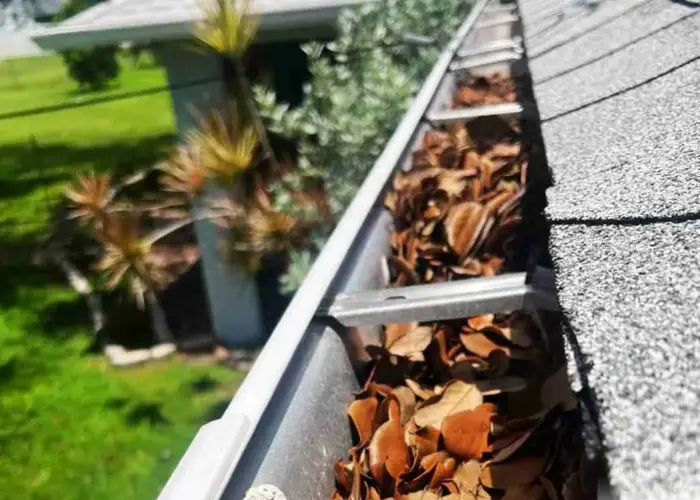 Lee's Summit gutter cleaning home page